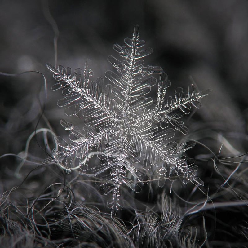 Kar taneleri görenleri hayran bıraktı - 3