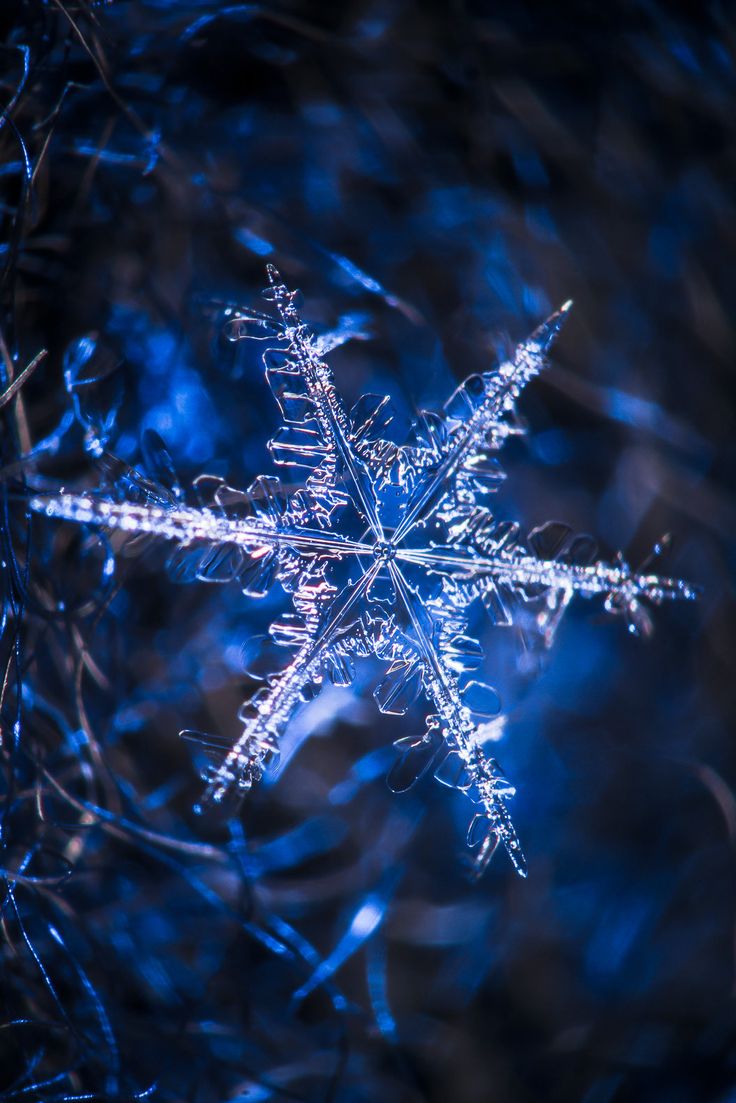 Kar taneleri görenleri hayran bıraktı - 826