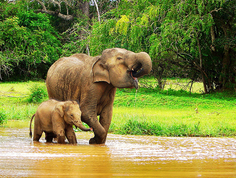 Hangi ülkelere vizesiz gidilebilir? - 55