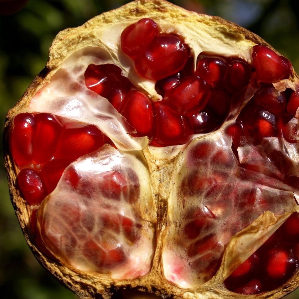 Nar ve nar ekşisinin faydaları - 37