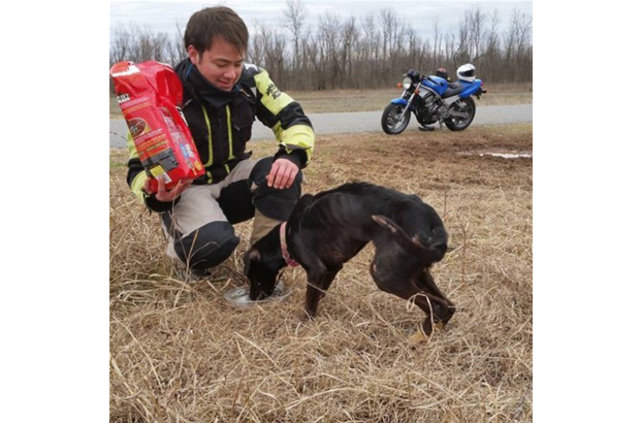 Kutuyu açtıklarında üzücü gerçek ortaya çıktı! - 3