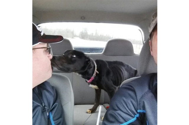 Kutuyu açtıklarında üzücü gerçek ortaya çıktı! - 7