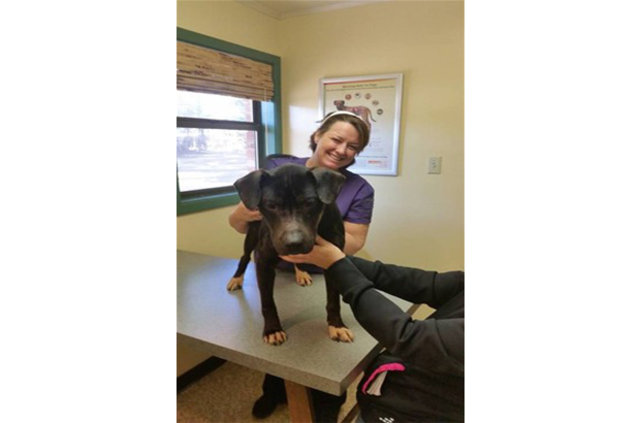 Kutuyu açtıklarında üzücü gerçek ortaya çıktı! - 10