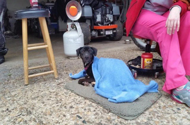 Kutuyu açtıklarında üzücü gerçek ortaya çıktı! - 11