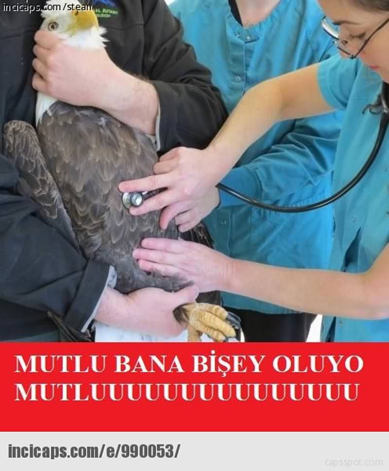 Dinamo Kiev-Beşiktaş maçı capsleri - 27