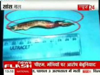 Şaşırtan röntgenler - 19