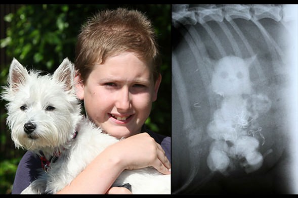 Şaşırtan röntgenler - 20