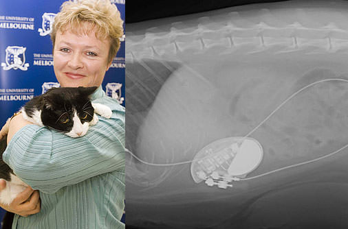 Şaşırtan röntgenler - 40