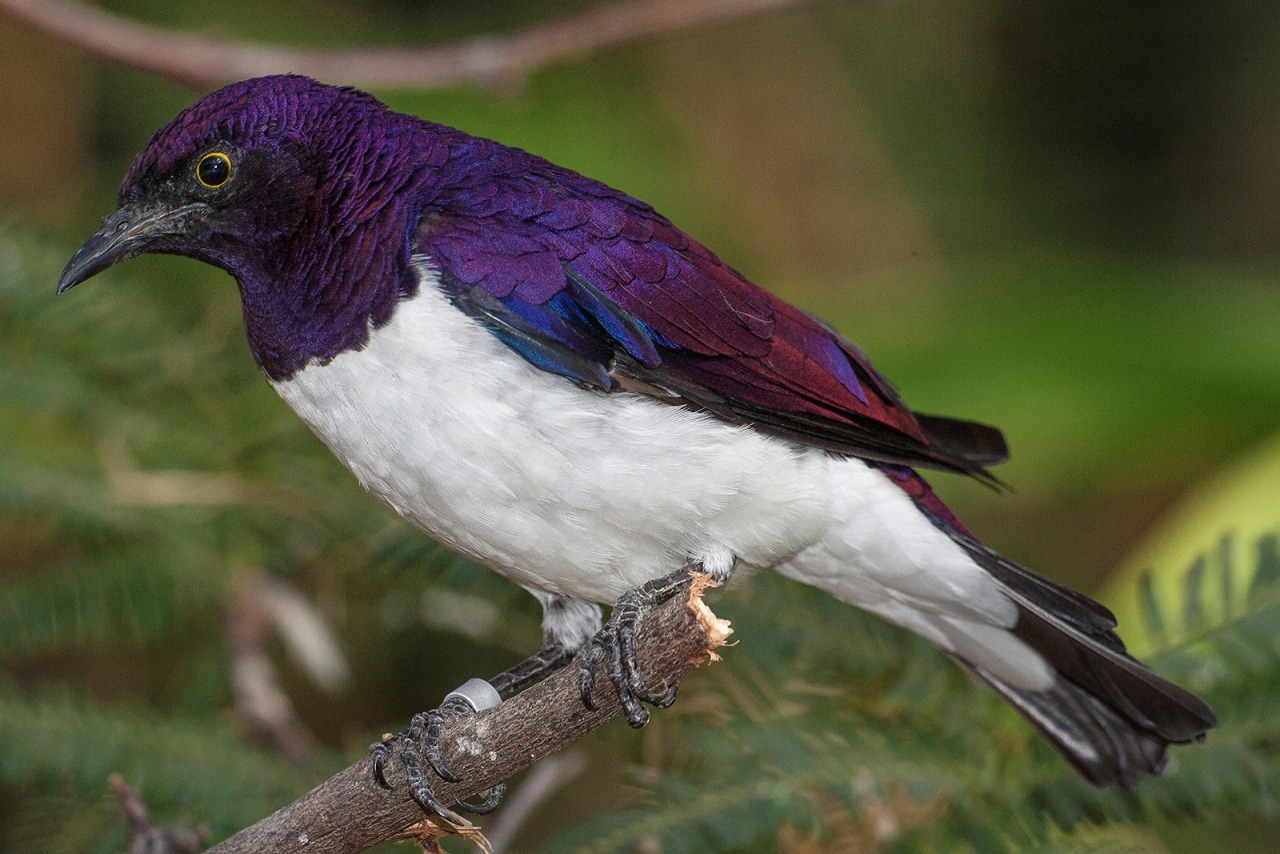 Hayvanlar aleminden 'MUHTEŞEM' fotoğraflar - 13
