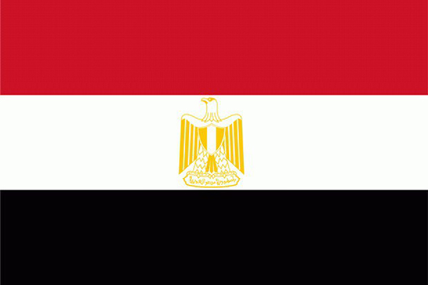 Ülkelerin bayrakları ne anlama geliyor? - 43