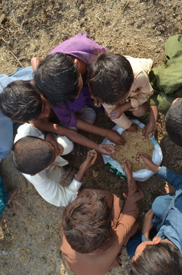 İHH Sel mağduru Pakistanlılara ulaştı - 875