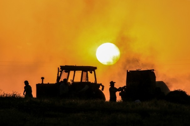 Çiftçilerin kış hazırlığı - 909