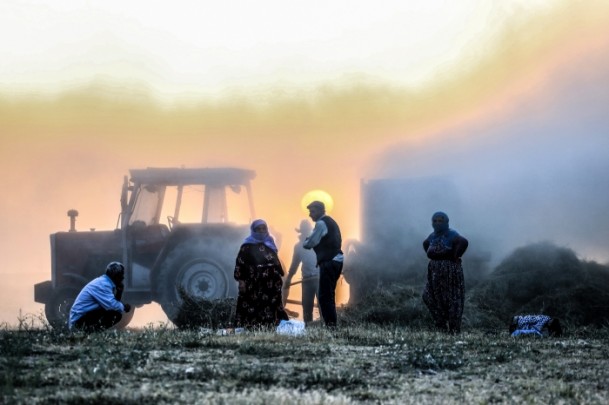 Çiftçilerin kış hazırlığı - 613