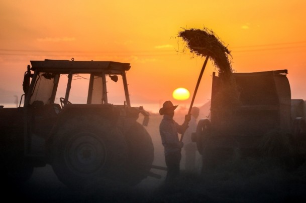 Çiftçilerin kış hazırlığı - 517