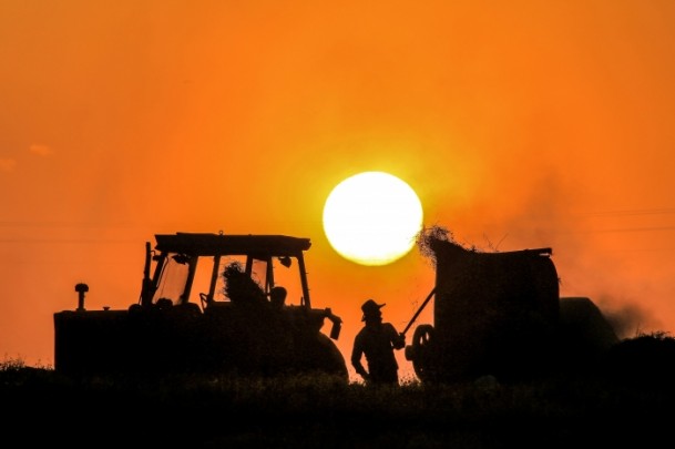 Çiftçilerin kış hazırlığı - 913