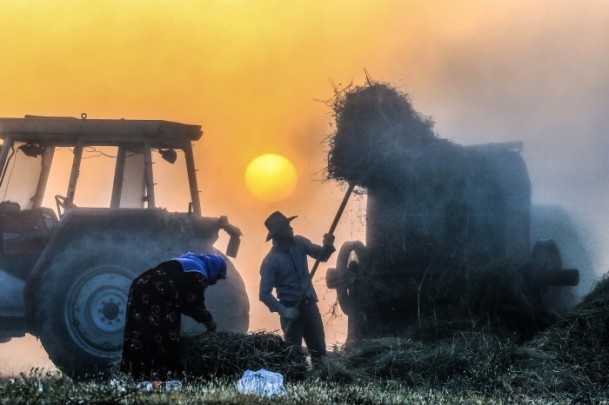 Çiftçilerin kış hazırlığı - 581