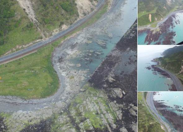 Kıyıya vuran şey herkesi şaşırttı! - 7