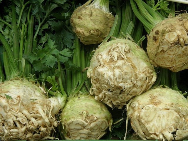 Kadınların bol bol zeytin yemesi gerek! - 14