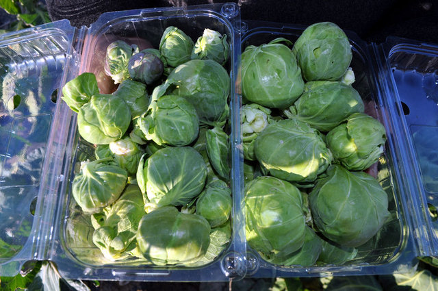 Kadınların bol bol zeytin yemesi gerek! - 17