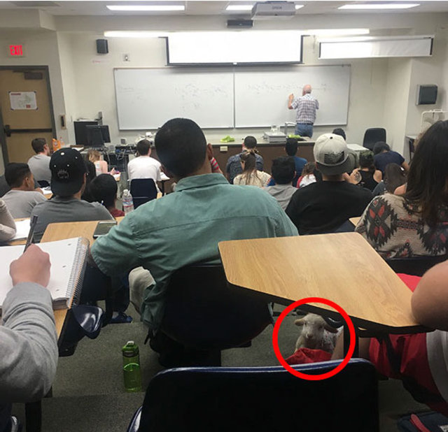 Fotoğraftaki ayrıntıyı farkettiniz mi? - 4