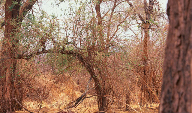 Fotoğraftaki ayrıntıyı farkettiniz mi? - 11