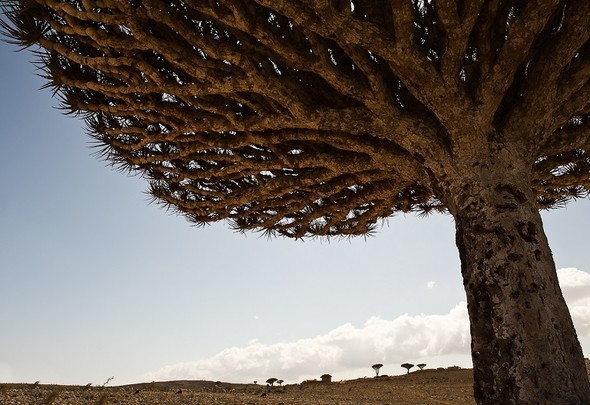 'Uzaylı Ada' hayrete düşürüyor - 7