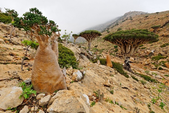 'Uzaylı Ada' hayrete düşürüyor - 18