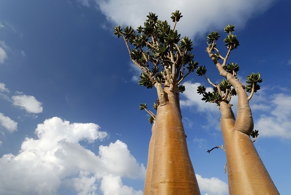 'Uzaylı Ada' hayrete düşürüyor - 25