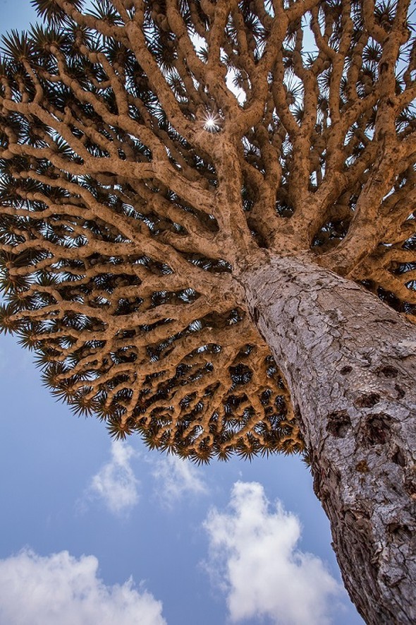 'Uzaylı Ada' hayrete düşürüyor - 33