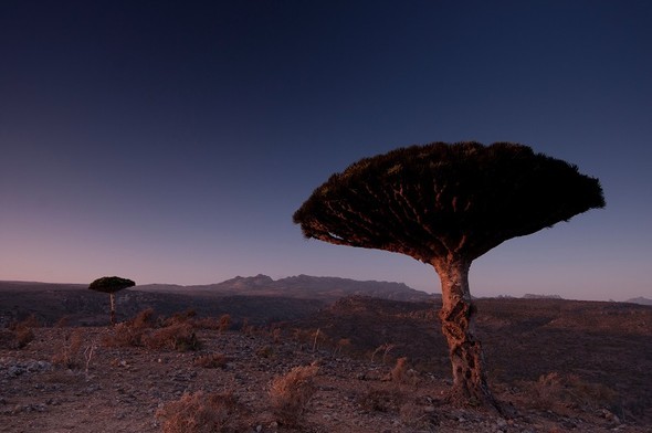 'Uzaylı Ada' hayrete düşürüyor - 37