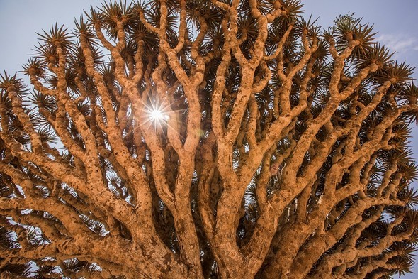 'Uzaylı Ada' hayrete düşürüyor - 36