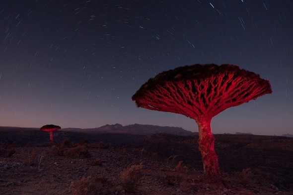'Uzaylı Ada' hayrete düşürüyor - 41