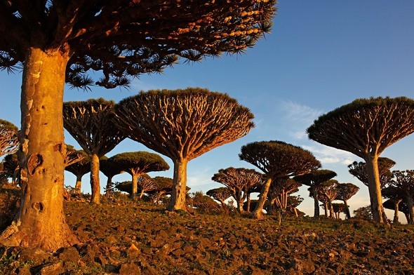 'Uzaylı Ada' hayrete düşürüyor - 43