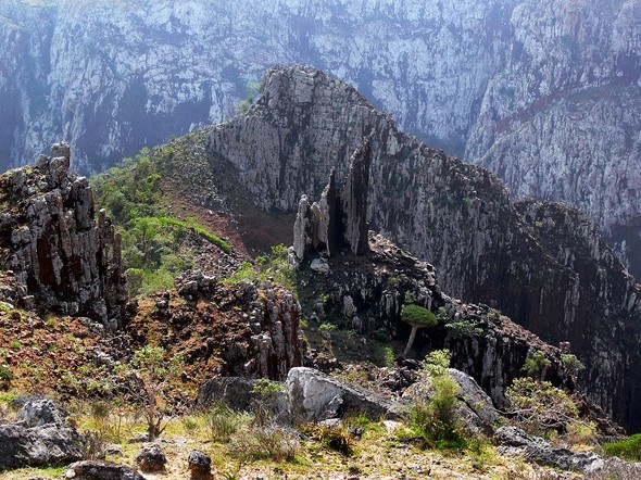 'Uzaylı Ada' hayrete düşürüyor - 51