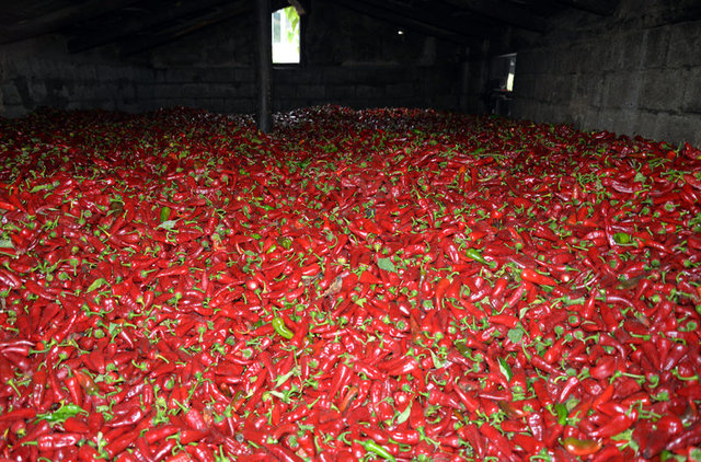 Hangi baharat neye iyi gelir? - 20