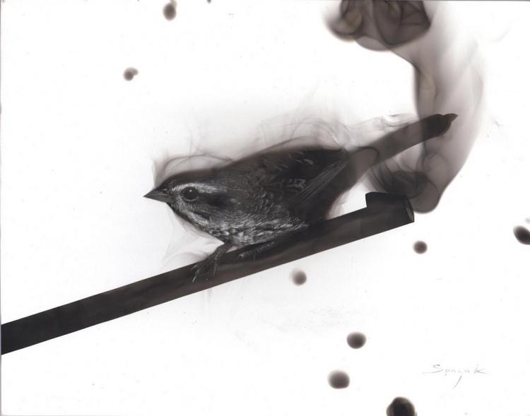 Ateşle resim çiziyor! - 12