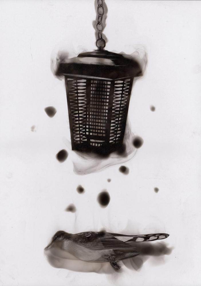 Ateşle resim çiziyor! - 24