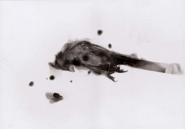 Ateşle resim çiziyor! - 26