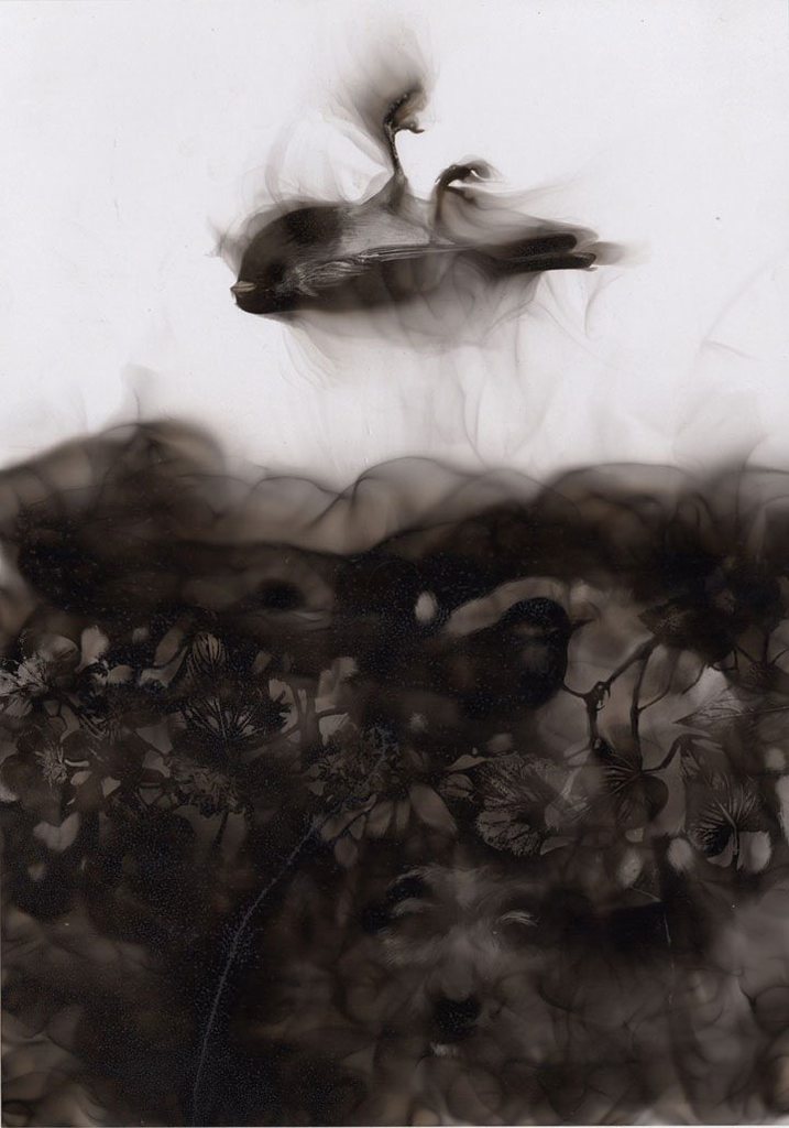 Ateşle resim çiziyor! - 39