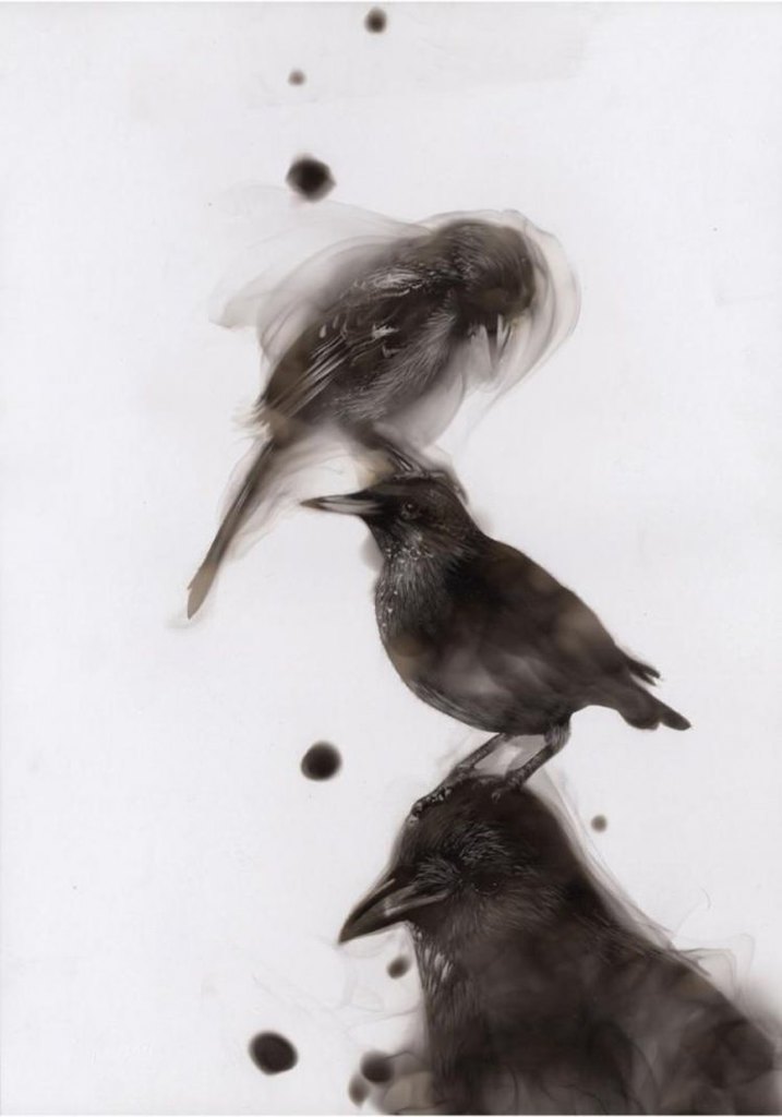 Ateşle resim çiziyor! - 55