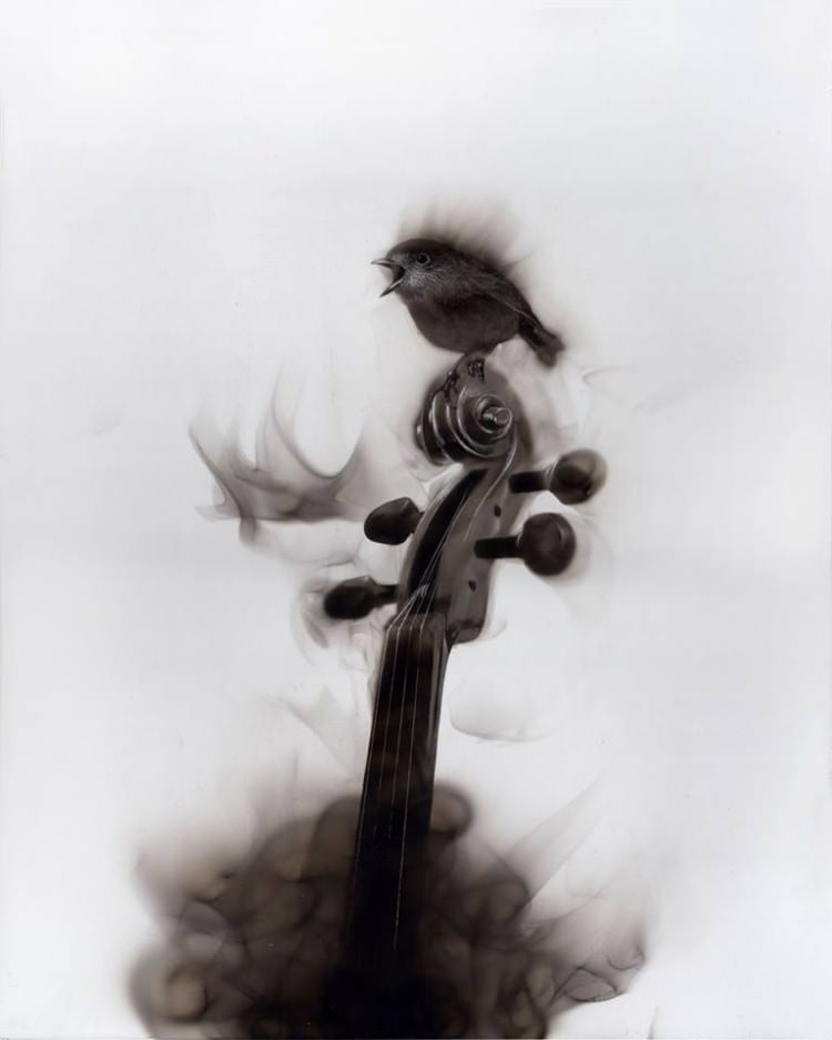 Ateşle resim çiziyor! - 60