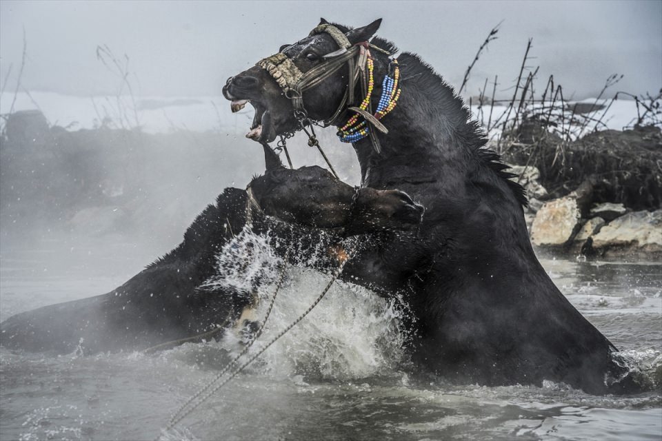 2016'ya damga vuran fotoğraflar - 6