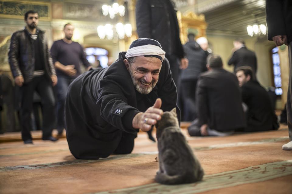 2016'ya damga vuran fotoğraflar - 14