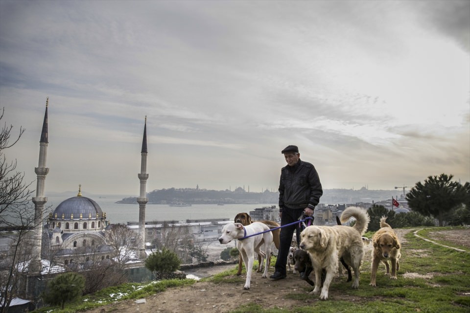 2016'ya damga vuran fotoğraflar - 17