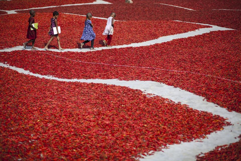 2016'ya damga vuran fotoğraflar - 23