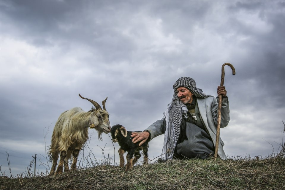 2016'ya damga vuran fotoğraflar - 34