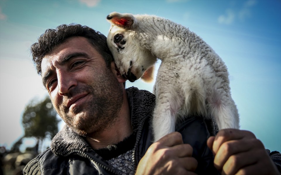 2016'ya damga vuran fotoğraflar - 37