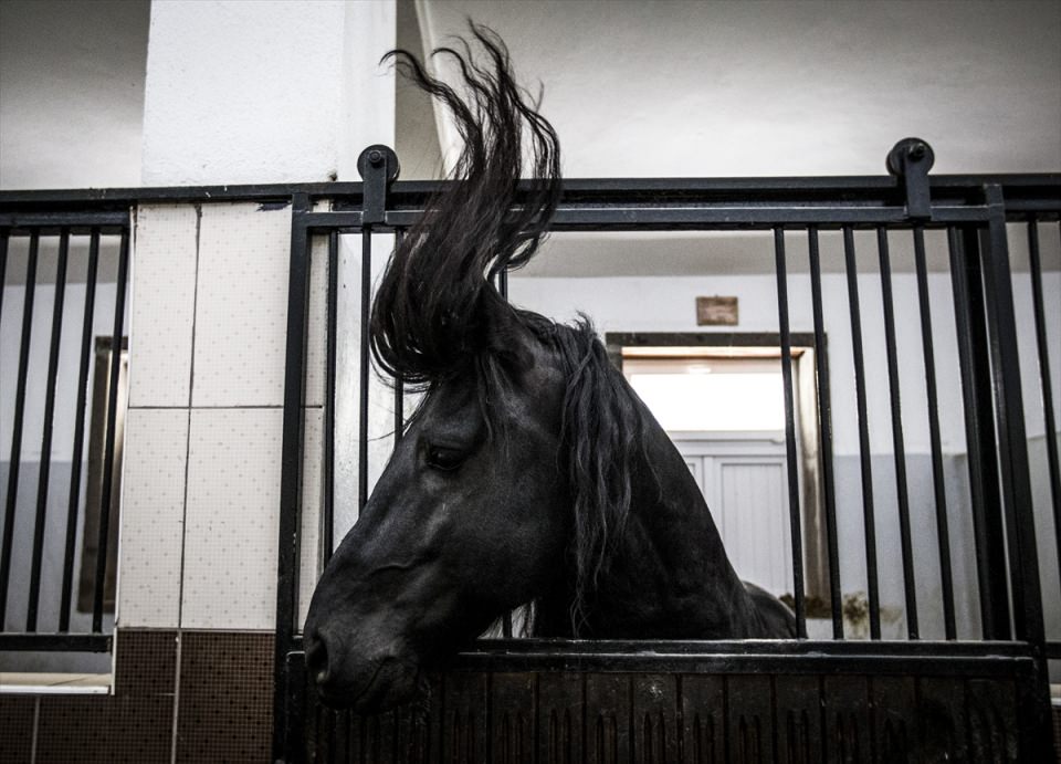 2016'ya damga vuran fotoğraflar - 41