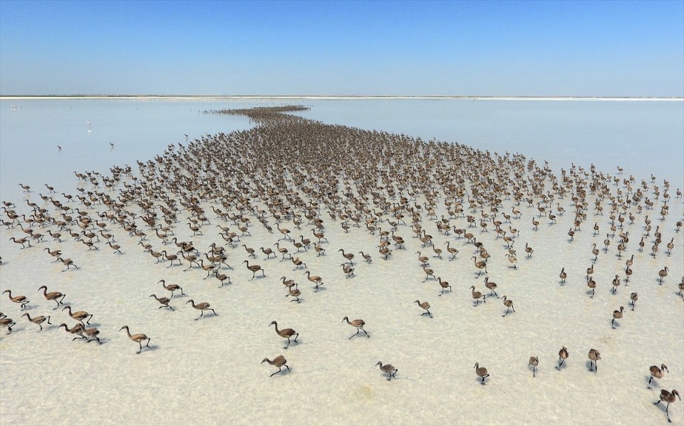 2016'ya damga vuran fotoğraflar - 57