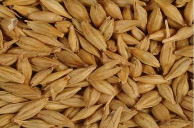 2016'da bunlara para yatıran köşeyi döndü - 2